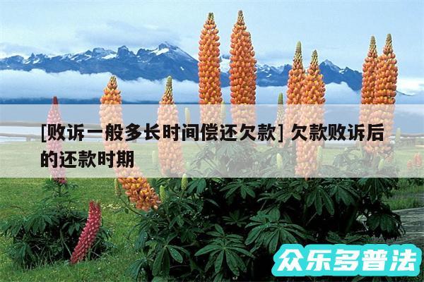 及败诉一般多长时间偿还欠款 欠款败诉后的还款时期