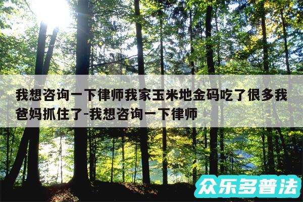 我想咨询一下律师我家玉米地金码吃了很多我爸妈抓住了-我想咨询一下律师