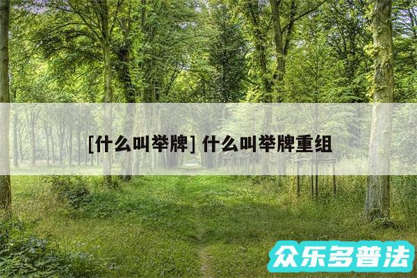 及什么叫举牌 什么叫举牌重组