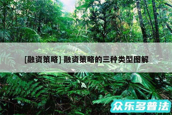 及融资策略 融资策略的三种类型图解
