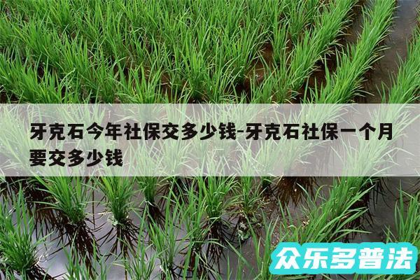 牙克石今年社保交多少钱-牙克石社保一个月要交多少钱