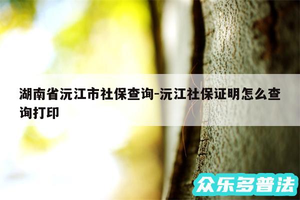 湖南省沅江市社保查询-沅江社保证明怎么查询打印