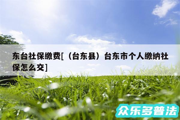 东台社保缴费及以及台东县台东市个人缴纳社保怎么交