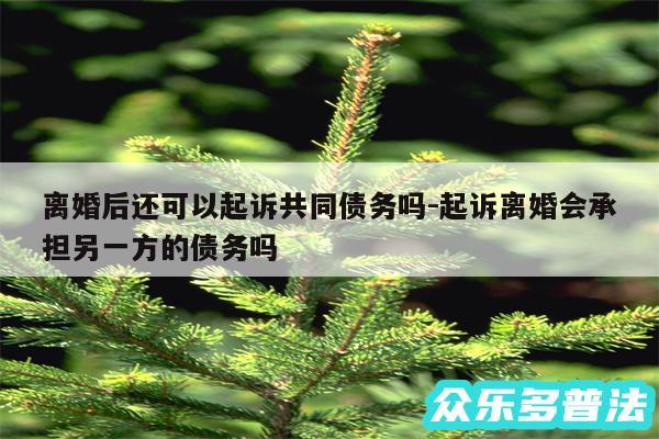 离婚后还可以起诉共同债务吗-起诉离婚会承担另一方的债务吗