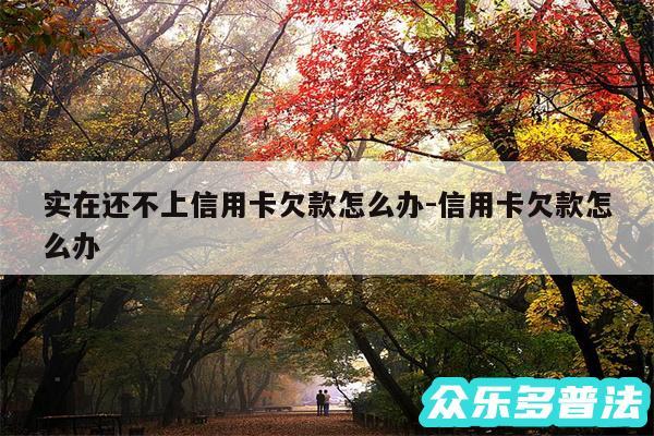 实在还不上信用卡欠款怎么办-信用卡欠款怎么办
