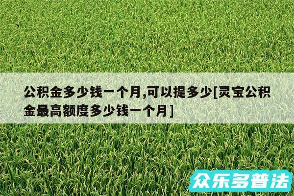 公积金多少钱一个月,可以提多少及灵宝公积金最高额度多少钱一个月