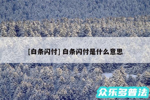 及白条闪付 白条闪付是什么意思