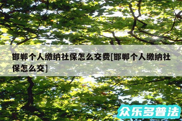 邯郸个人缴纳社保怎么交费及邯郸个人缴纳社保怎么交