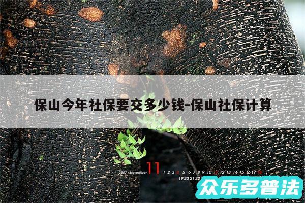 保山今年社保要交多少钱-保山社保计算