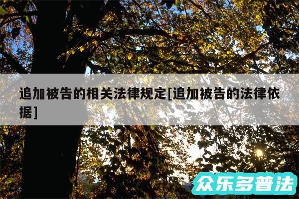 追加被告的相关法律规定及追加被告的法律依据