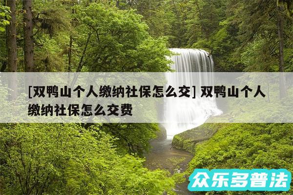 及双鸭山个人缴纳社保怎么交 双鸭山个人缴纳社保怎么交费