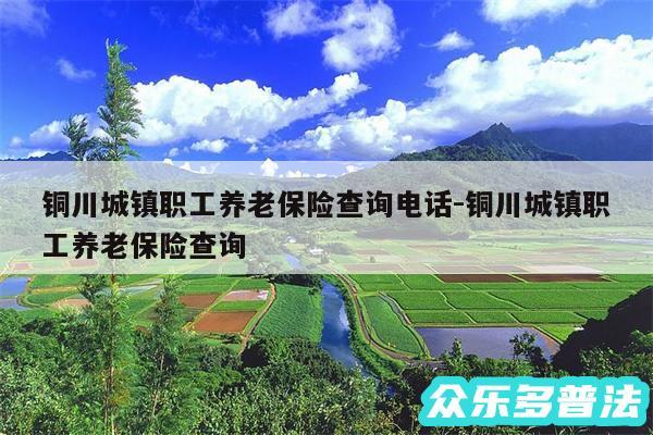 铜川城镇职工养老保险查询电话-铜川城镇职工养老保险查询