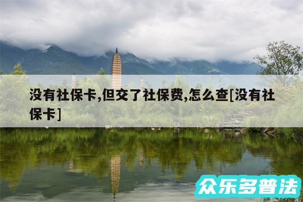 没有社保卡,但交了社保费,怎么查及没有社保卡