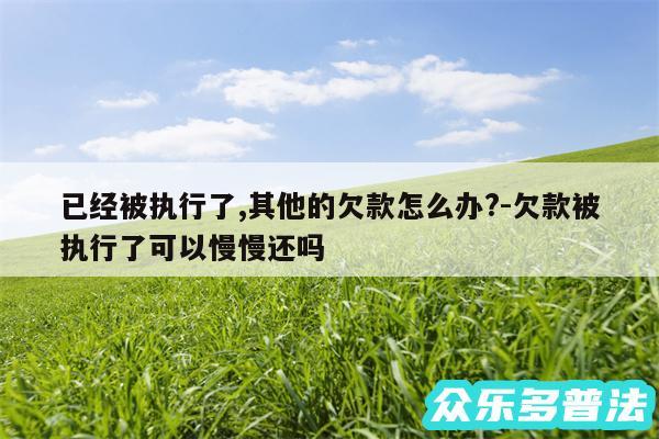 已经被执行了,其他的欠款怎么办?-欠款被执行了可以慢慢还吗