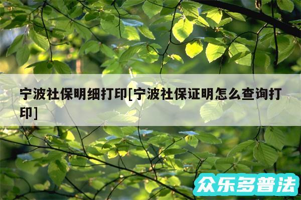 宁波社保明细打印及宁波社保证明怎么查询打印