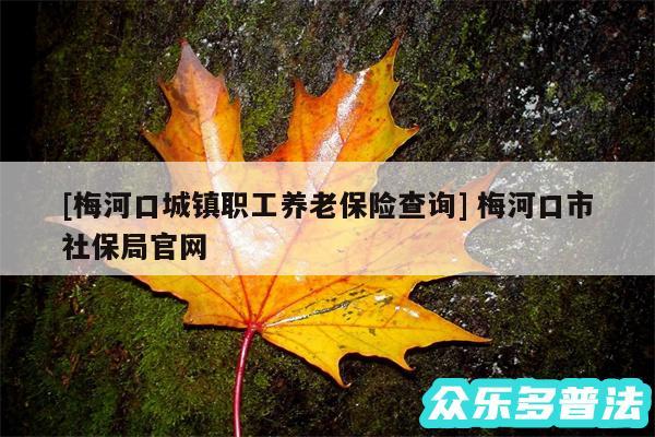 及梅河口城镇职工养老保险查询 梅河口市社保局官网