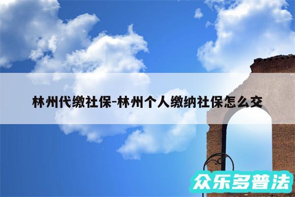 林州代缴社保-林州个人缴纳社保怎么交