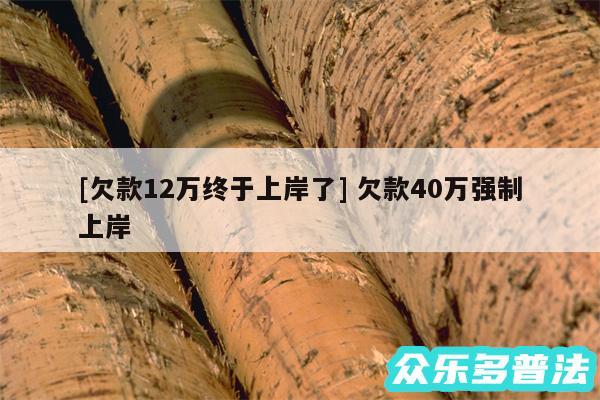 及欠款12万终于上岸了 欠款40万强制上岸