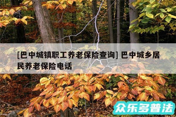 及巴中城镇职工养老保险查询 巴中城乡居民养老保险电话