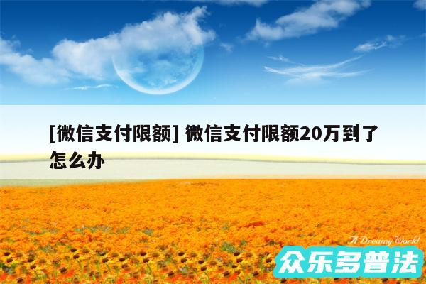 及微信支付限额 微信支付限额20万到了怎么办