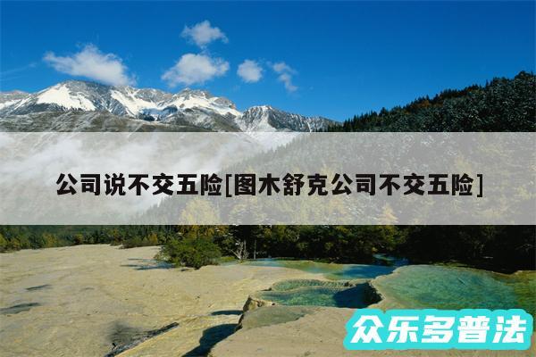 公司说不交五险及图木舒克公司不交五险