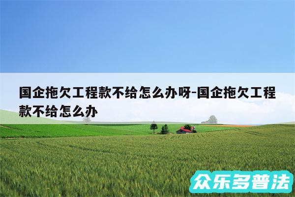 国企拖欠工程款不给怎么办呀-国企拖欠工程款不给怎么办