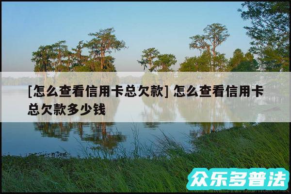 及怎么查看信用卡总欠款 怎么查看信用卡总欠款多少钱