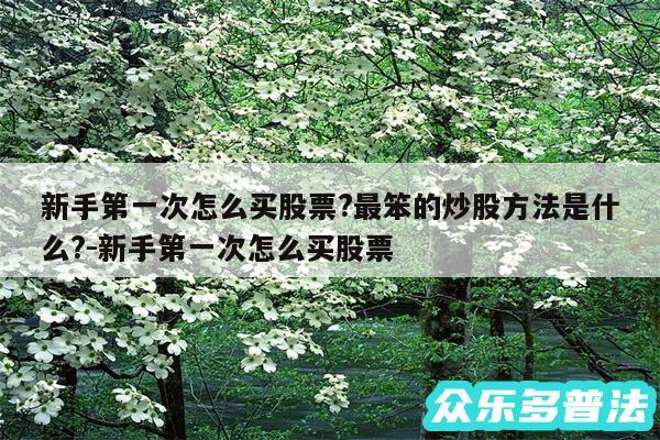 新手第一次怎么买股票?最笨的炒股方法是什么?-新手第一次怎么买股票