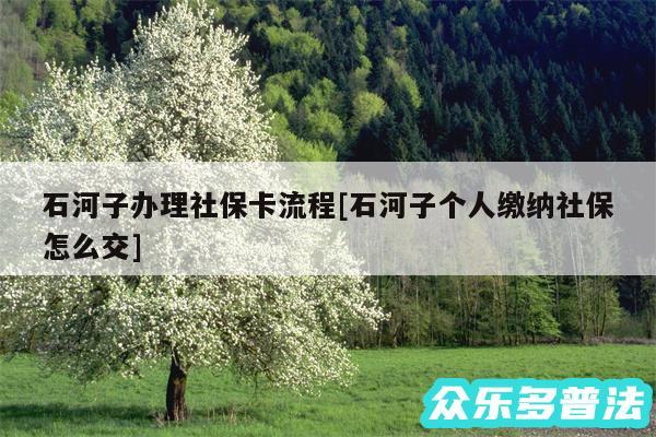 石河子办理社保卡流程及石河子个人缴纳社保怎么交