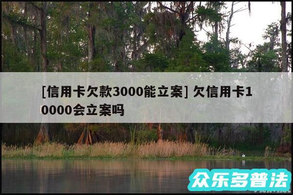 及信用卡欠款3000能立案 欠信用卡10000会立案吗