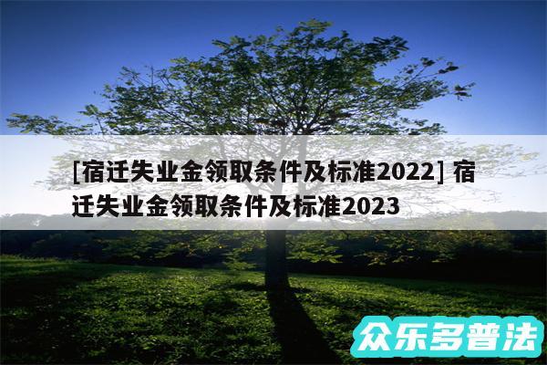 及宿迁失业金领取条件及标准2024 宿迁失业金领取条件及标准2024
