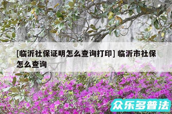 及临沂社保证明怎么查询打印 临沂市社保怎么查询