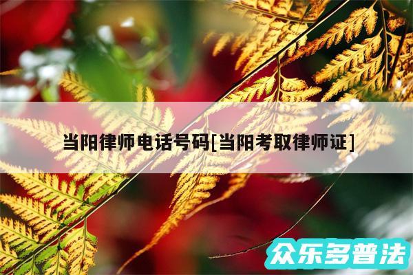 当阳律师电话号码及当阳考取律师证