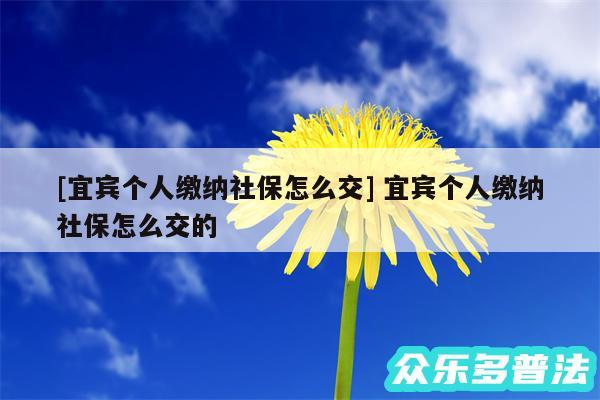 及宜宾个人缴纳社保怎么交 宜宾个人缴纳社保怎么交的