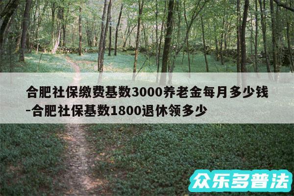 合肥社保缴费基数3000养老金每月多少钱-合肥社保基数1800退休领多少