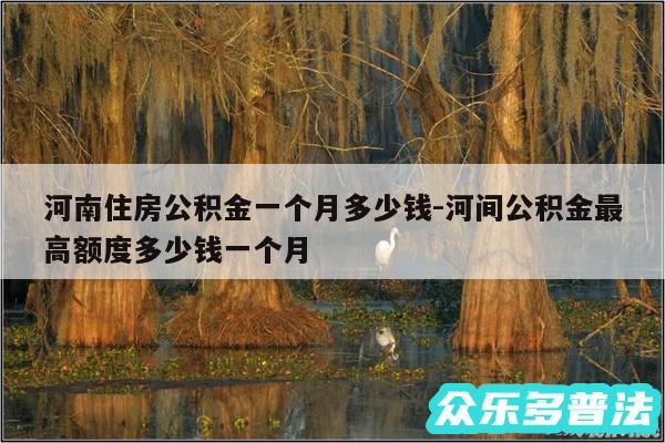 河南住房公积金一个月多少钱-河间公积金最高额度多少钱一个月