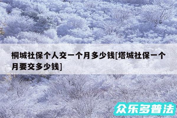 桐城社保个人交一个月多少钱及塔城社保一个月要交多少钱