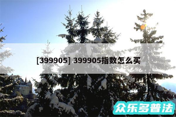 及399905 399905指数怎么买