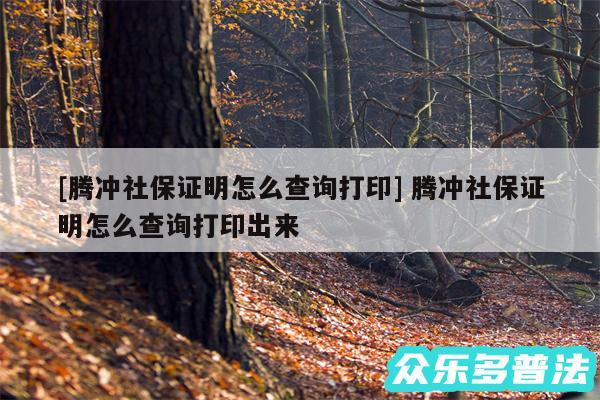 及腾冲社保证明怎么查询打印 腾冲社保证明怎么查询打印出来