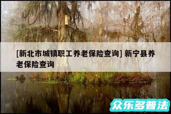 及新北市城镇职工养老保险查询 新宁县养老保险查询