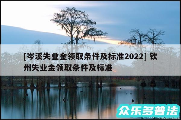 及岑溪失业金领取条件及标准2024 钦州失业金领取条件及标准