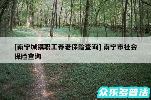 及南宁城镇职工养老保险查询 南宁市社会保险查询