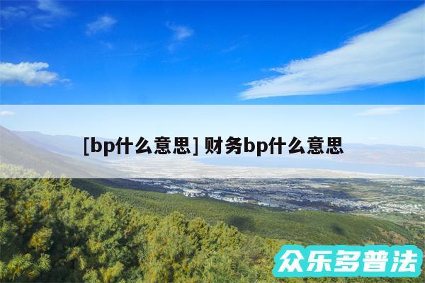 及bp什么意思 财务bp什么意思