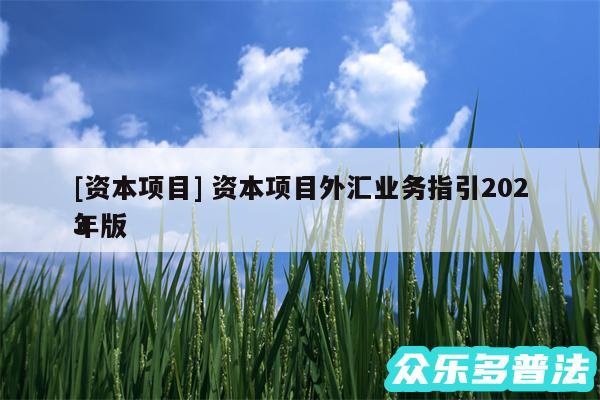 及资本项目 资本项目外汇业务指引2024
年版