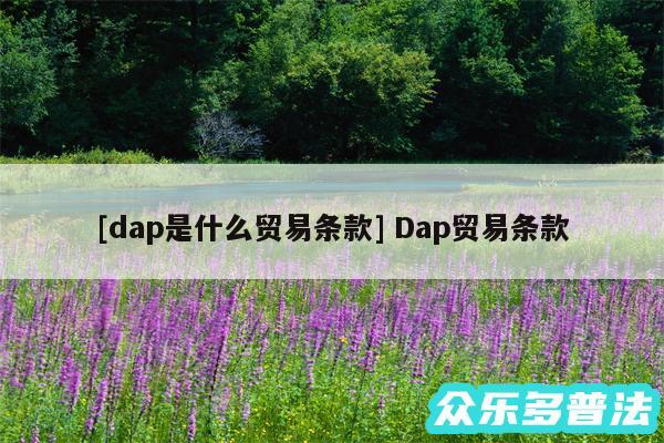 及dap是什么贸易条款 Dap贸易条款