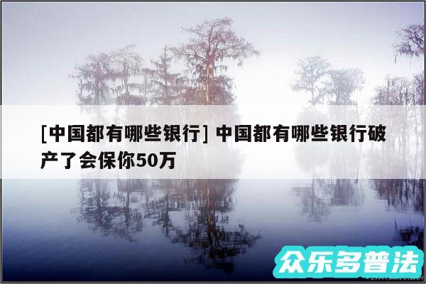 及中国都有哪些银行 中国都有哪些银行破产了会保你50万