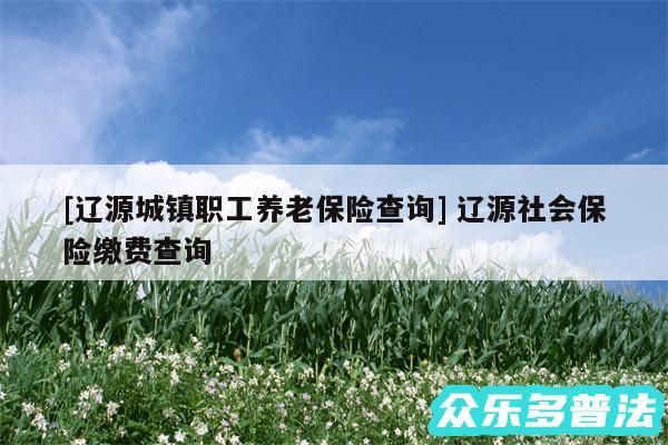 及辽源城镇职工养老保险查询 辽源社会保险缴费查询