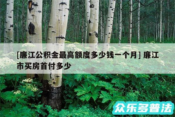及廉江公积金最高额度多少钱一个月 廉江市买房首付多少