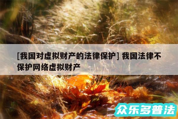 及我国对虚拟财产的法律保护 我国法律不保护网络虚拟财产