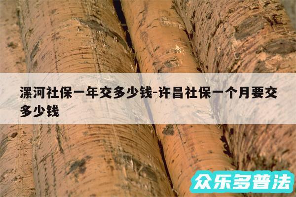 漯河社保一年交多少钱-许昌社保一个月要交多少钱